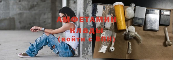 твердый Алзамай