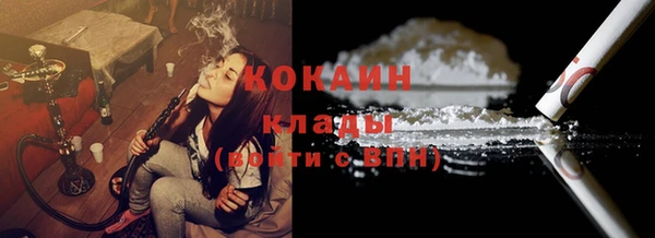 дурь Алексин