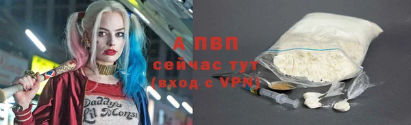 твердый Алзамай