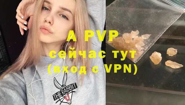 твердый Алзамай