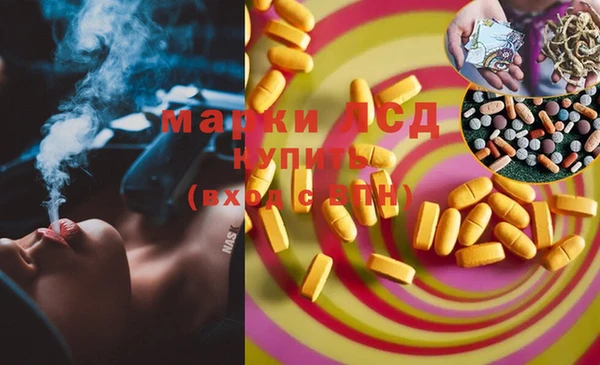 spice Алексеевка