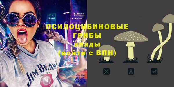 твердый Алзамай