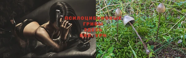 дурь Алексин