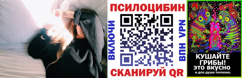 MEGA как войти  Чадан  Псилоцибиновые грибы мухоморы 